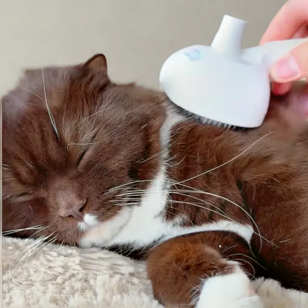 OniBrush - Silky Hair Brush