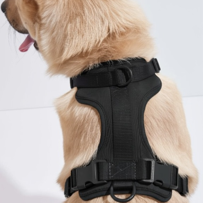 OniGo- Harness Set