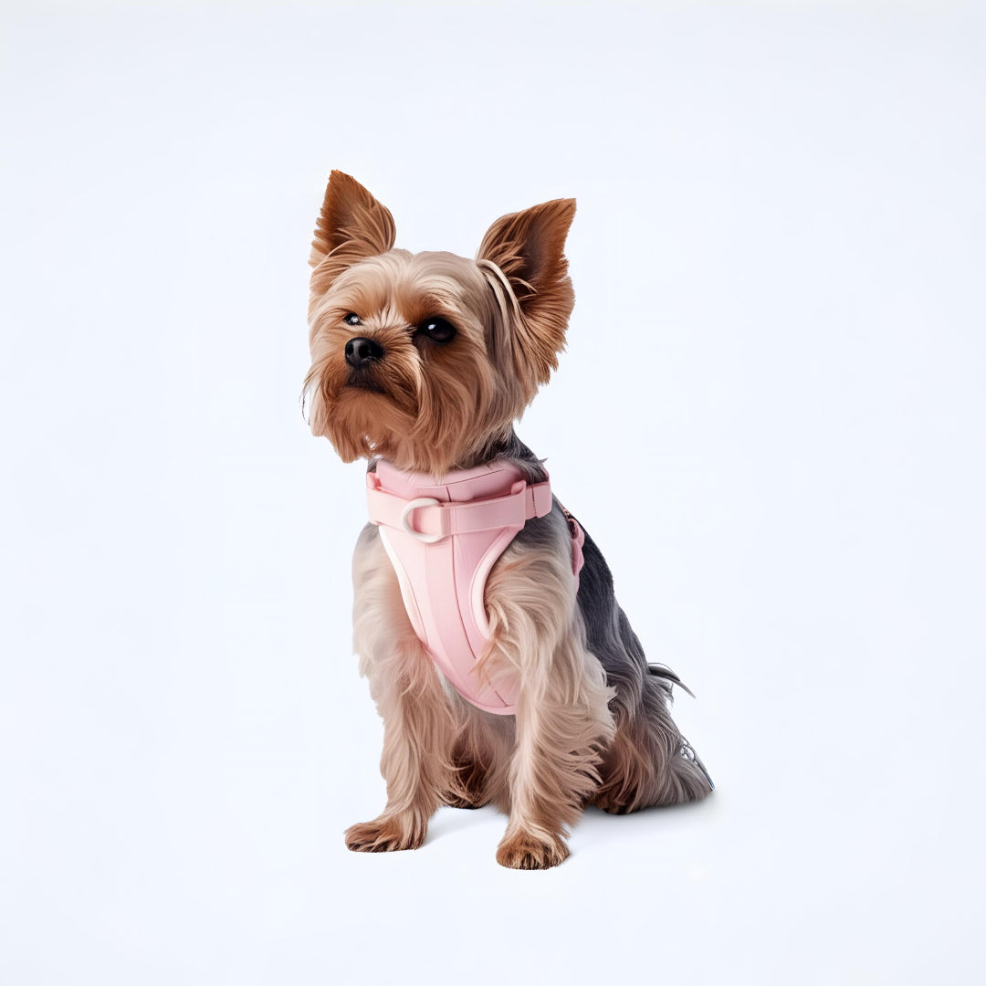 OniGo- Harness Set