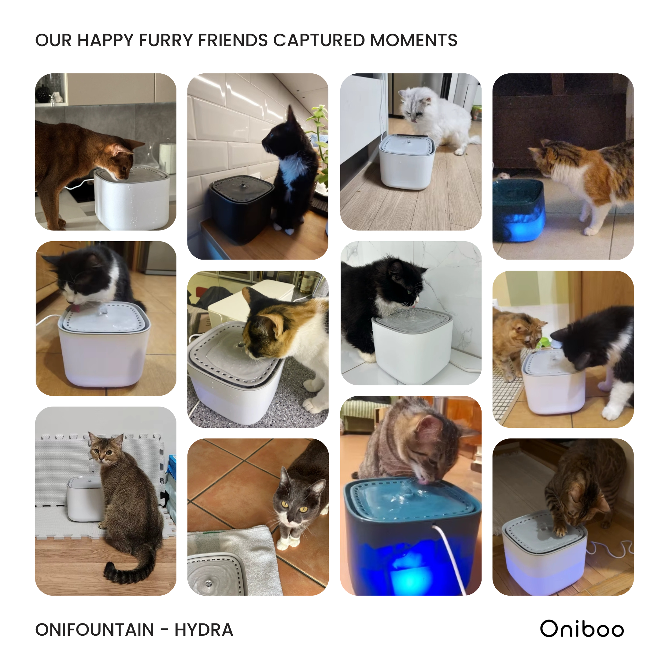 OniFountain - Hydra