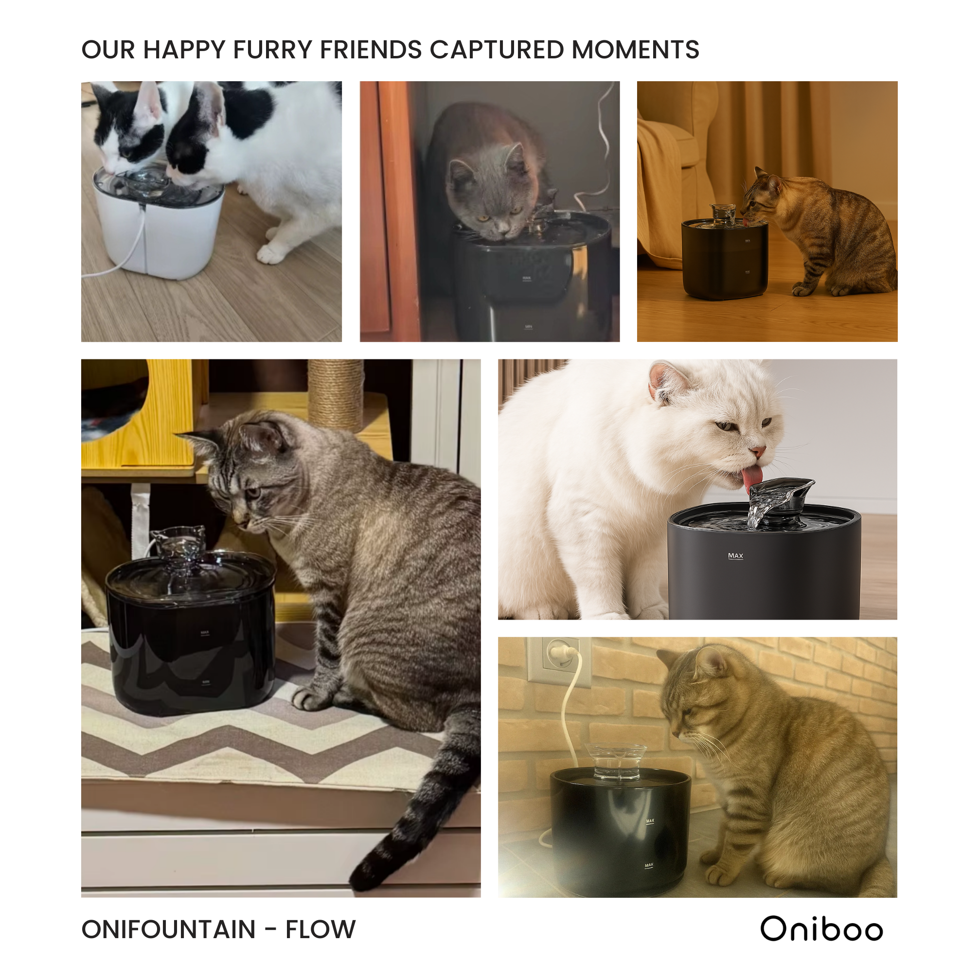 OniFountain - Flow