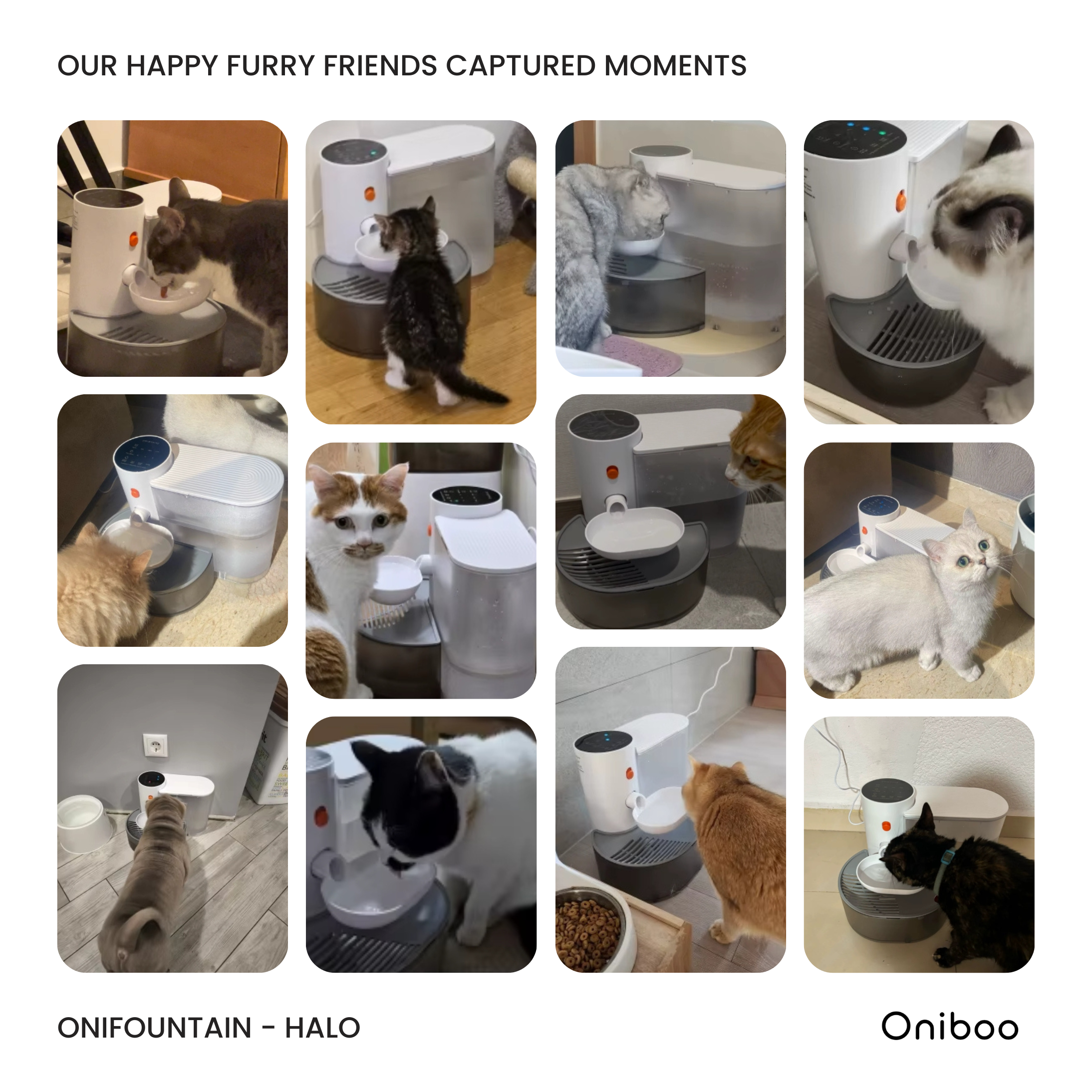 OniFountain - Halo