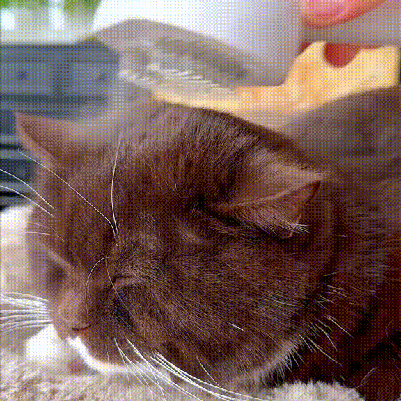 OniBrush - Silky Hair Brush