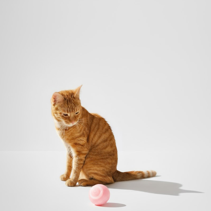 OniBall - Smart Cat Ball