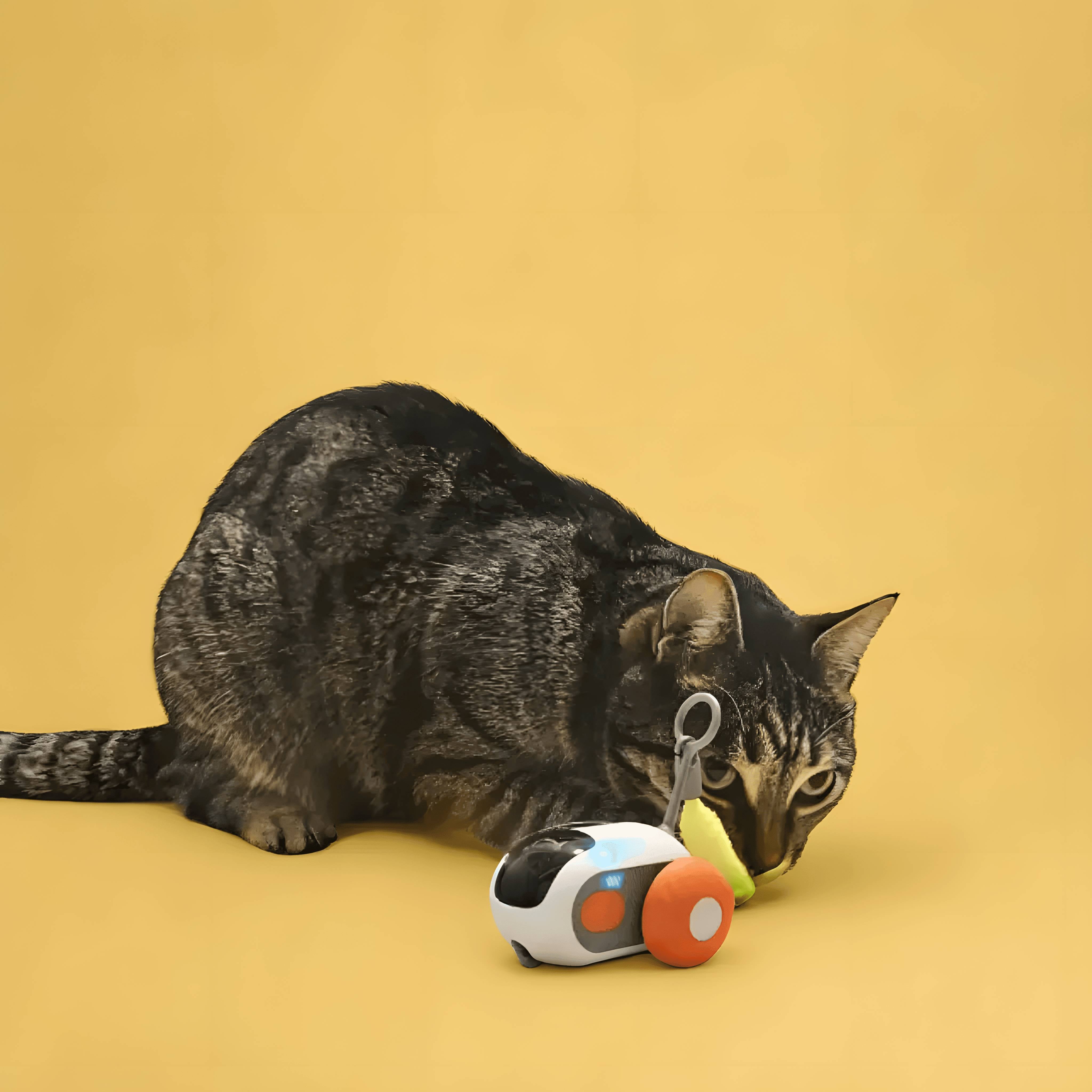 OniTail 2.0 - Smart Cat Toy