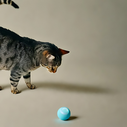 OniBall - Smart Cat Ball