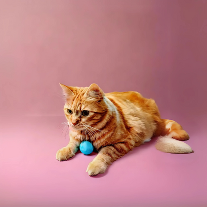 OniBall - Smart Cat Ball