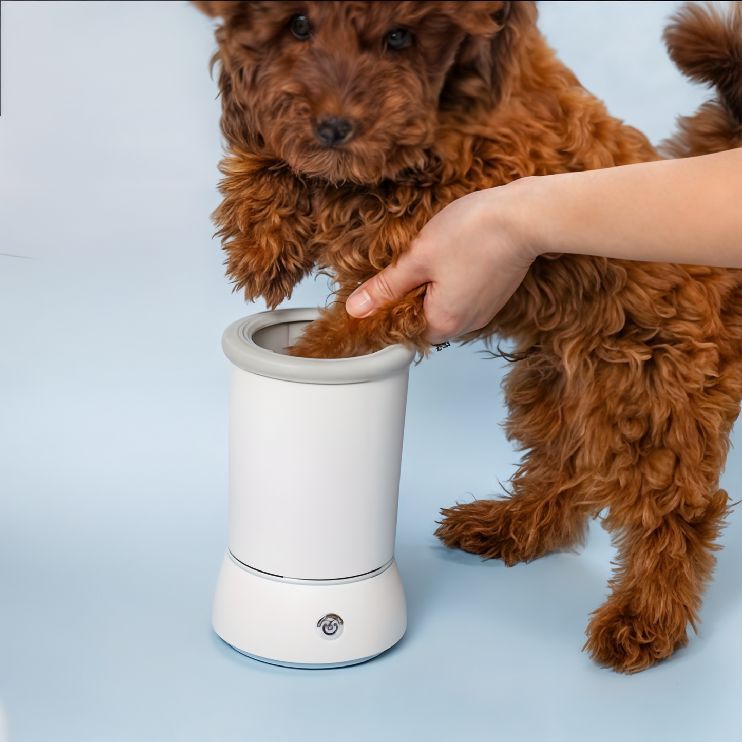 OniPaw - Smart Paw Cleaner