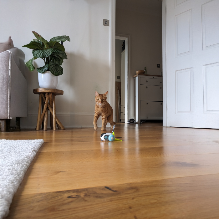 OniTail 2.0 - Smart Cat Toy