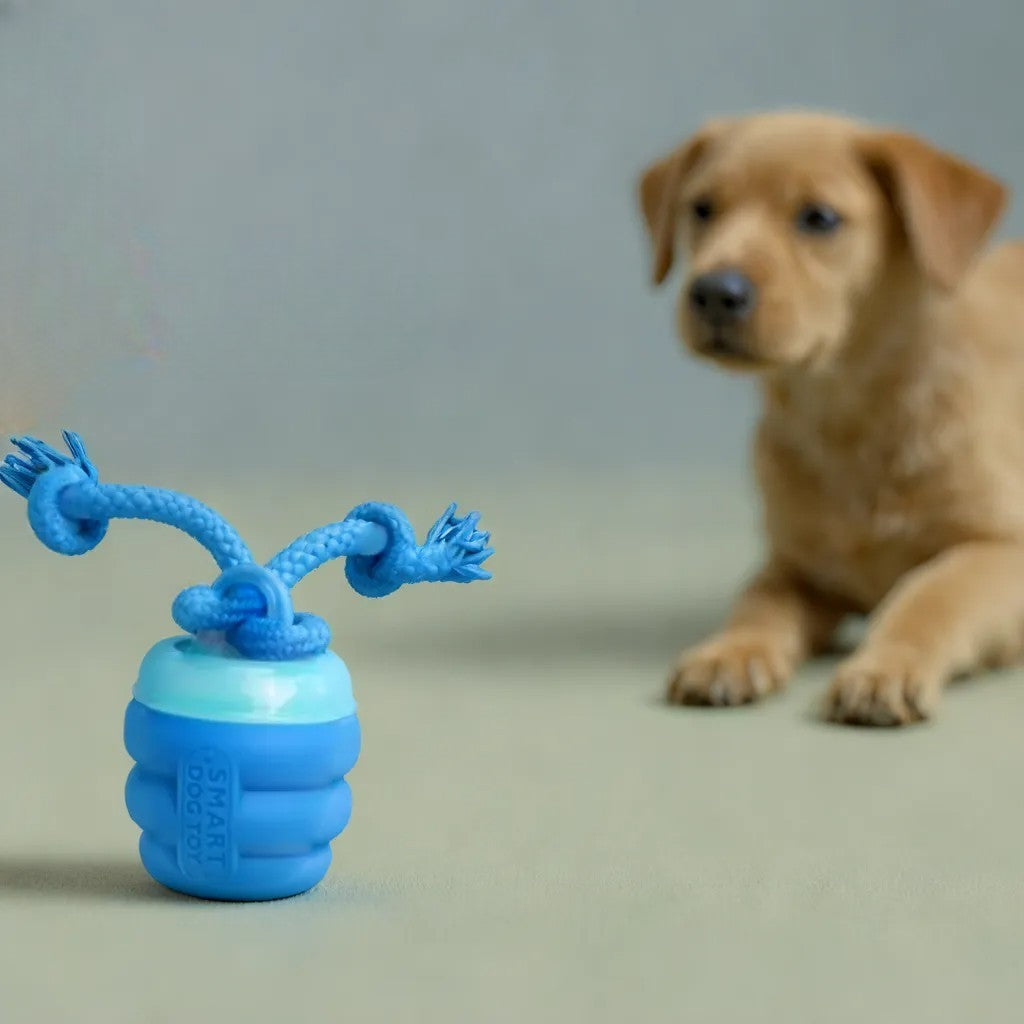 OniBounce - Smart Dog Toy