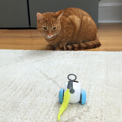 OniTail 2.0 - Smart Cat Toy