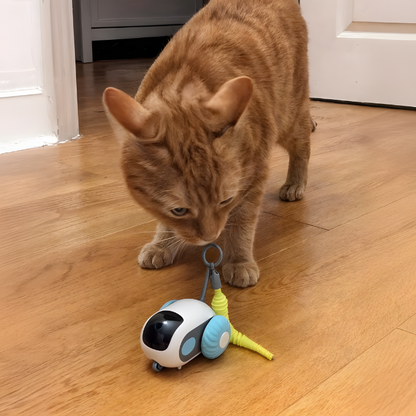 OniTail 2.0 - Smart Cat Toy