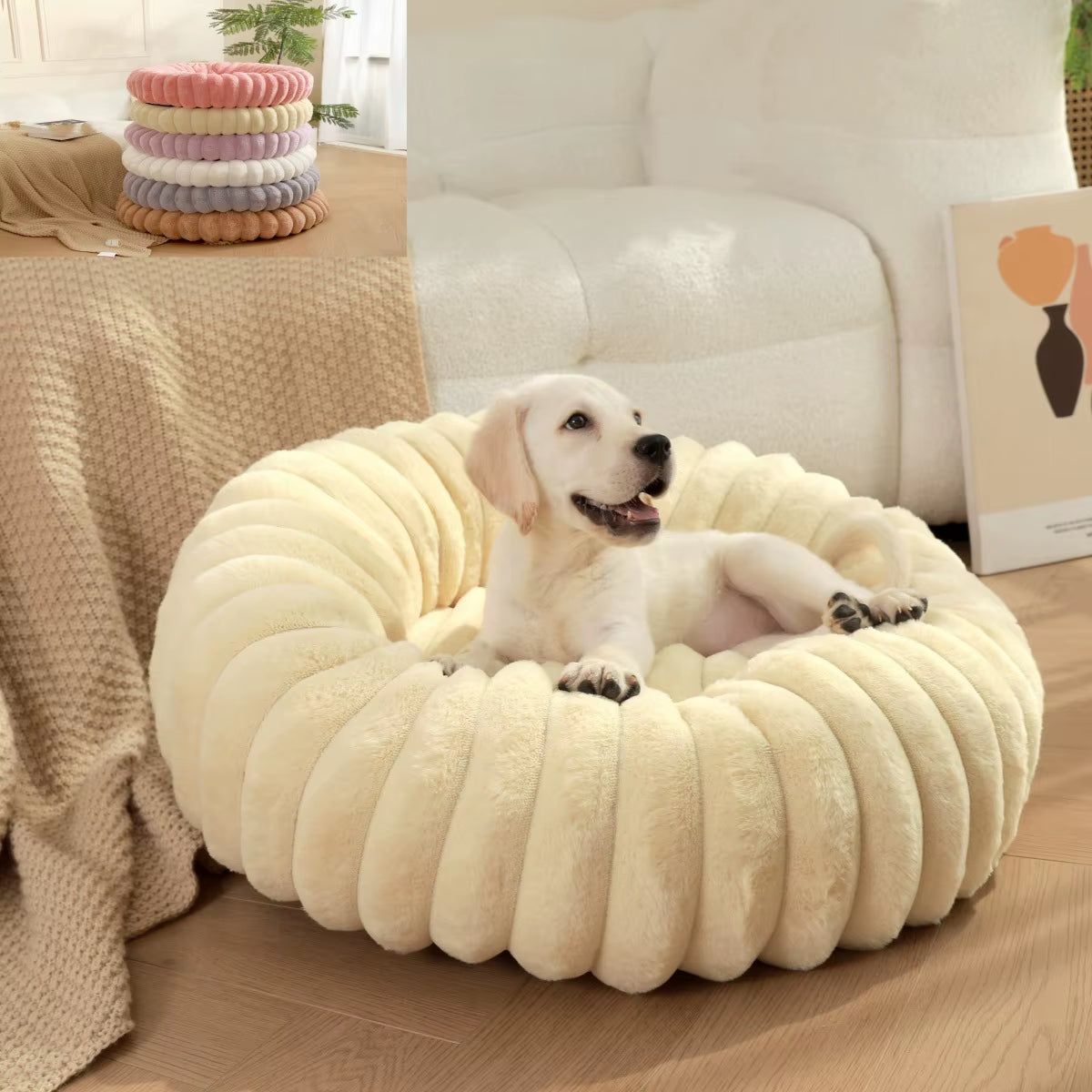 OniCloud - The Softest Sleep for Your Pet