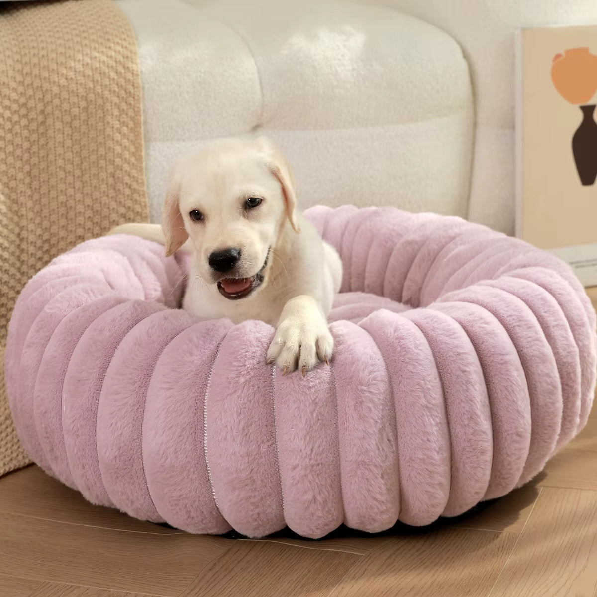 OniCloud - The Softest Sleep for Your Pet